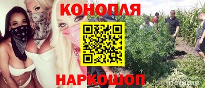 винт Камышлов