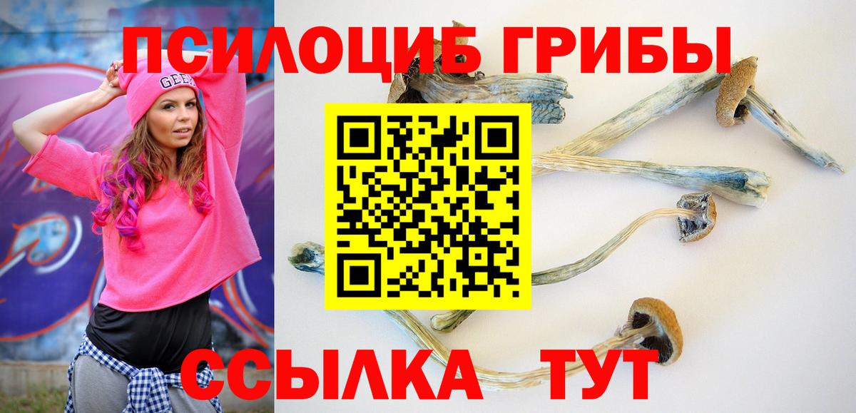 Галлюциногенные грибы Psilocybine cubensis  Галлюциногенные грибы Psilocybe  Вход с VPN  хочу   Кудымкар 
